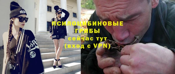 спиды Майский