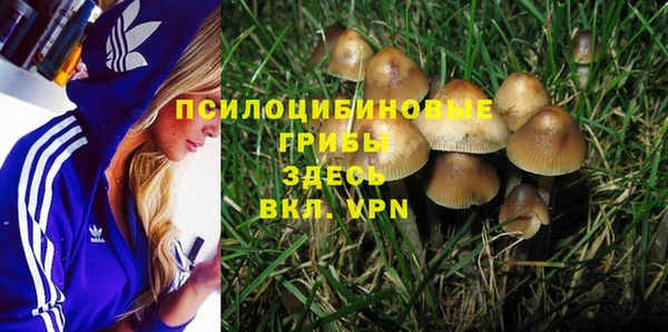 крисы Магадан