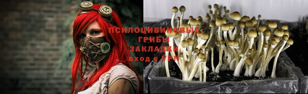 дмт Магас