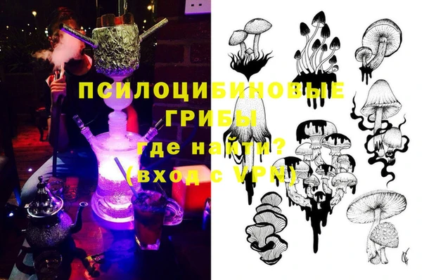 дмт Магас