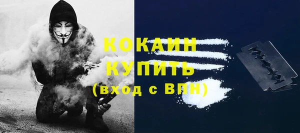 крисы Магадан