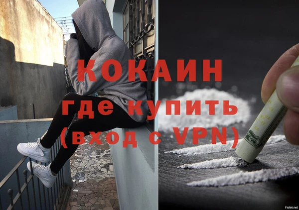 дмт Магас