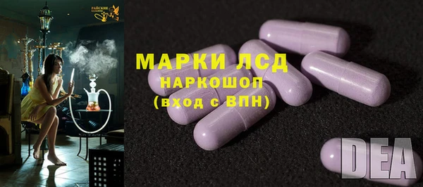 крисы Магадан