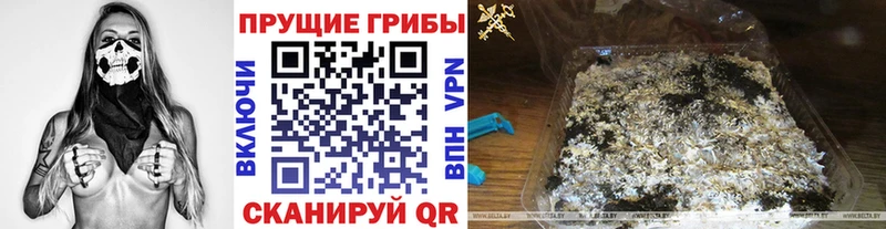 Галлюциногенные грибы Cubensis  мега ссылка  Брюховецкая 
